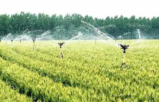 軟體集雨水窖結(jié)合滴灌水肥一體化，旱作農(nóng)業(yè)節(jié)水新模式