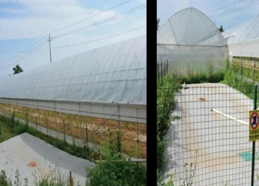 河南積極推廣軟體集雨水水肥一體化，旱作節(jié)水新技術