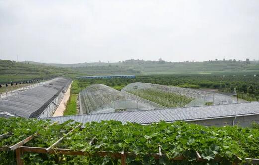 陜西推廣軟體集雨水窖水肥一體化技術(shù),推動節(jié)水農(nóng)業(yè)發(fā)展 陜西推廣軟體集雨水窖水肥一體化技術(shù),推動節(jié)水農(nóng)業(yè)發(fā)展